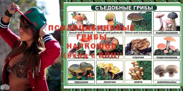 соль ск Майский