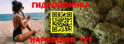 дмт Волгодонск
