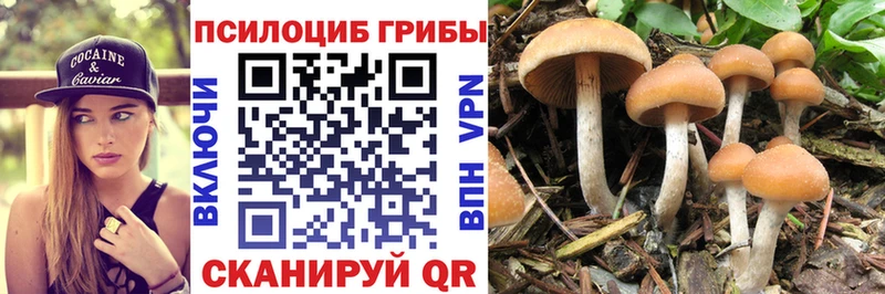 Галлюциногенные грибы Psilocybine cubensis  площадка какой сайт  Пермь  сколько стоит  blacksprut tor 